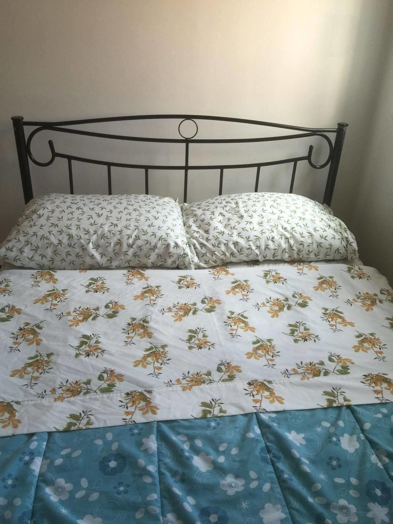 University Apartment Торонто Екстериор снимка